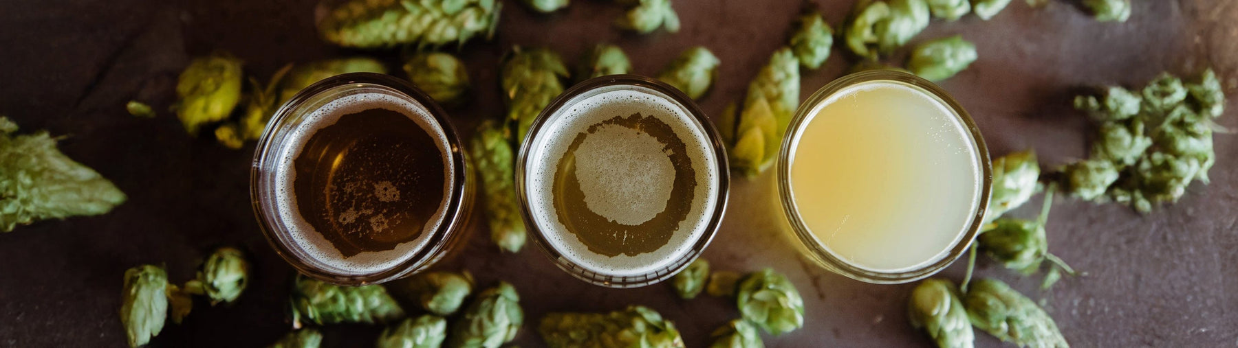 Best Home Brew Kits in NZ: How to Pick the Right Beer Style for You