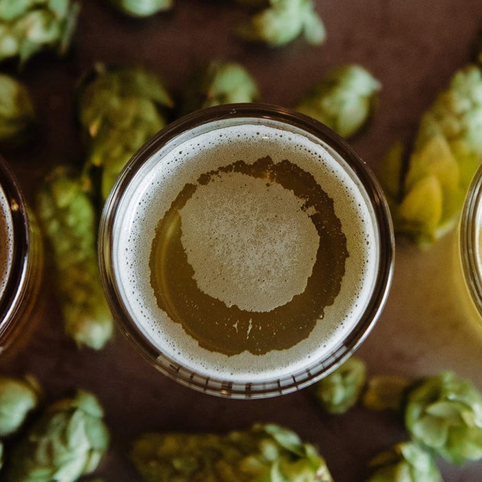 Best Home Brew Kits in NZ: How to Pick the Right Beer Style for You