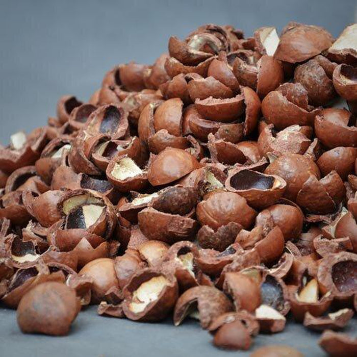 Urban Lumberjack Macadamia Nut Shells